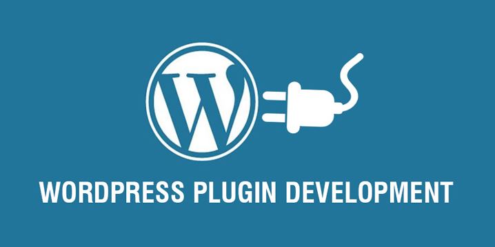 Plugin WordPress Development