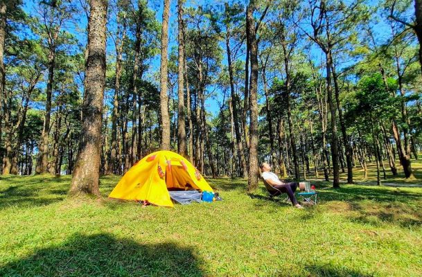 Thuê lều cắm trại ở vườn quốc gia ba vì